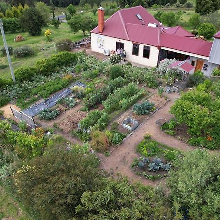 Cherry Top Farmstay - Boutique Eco Village Lilydale 외부 사진
