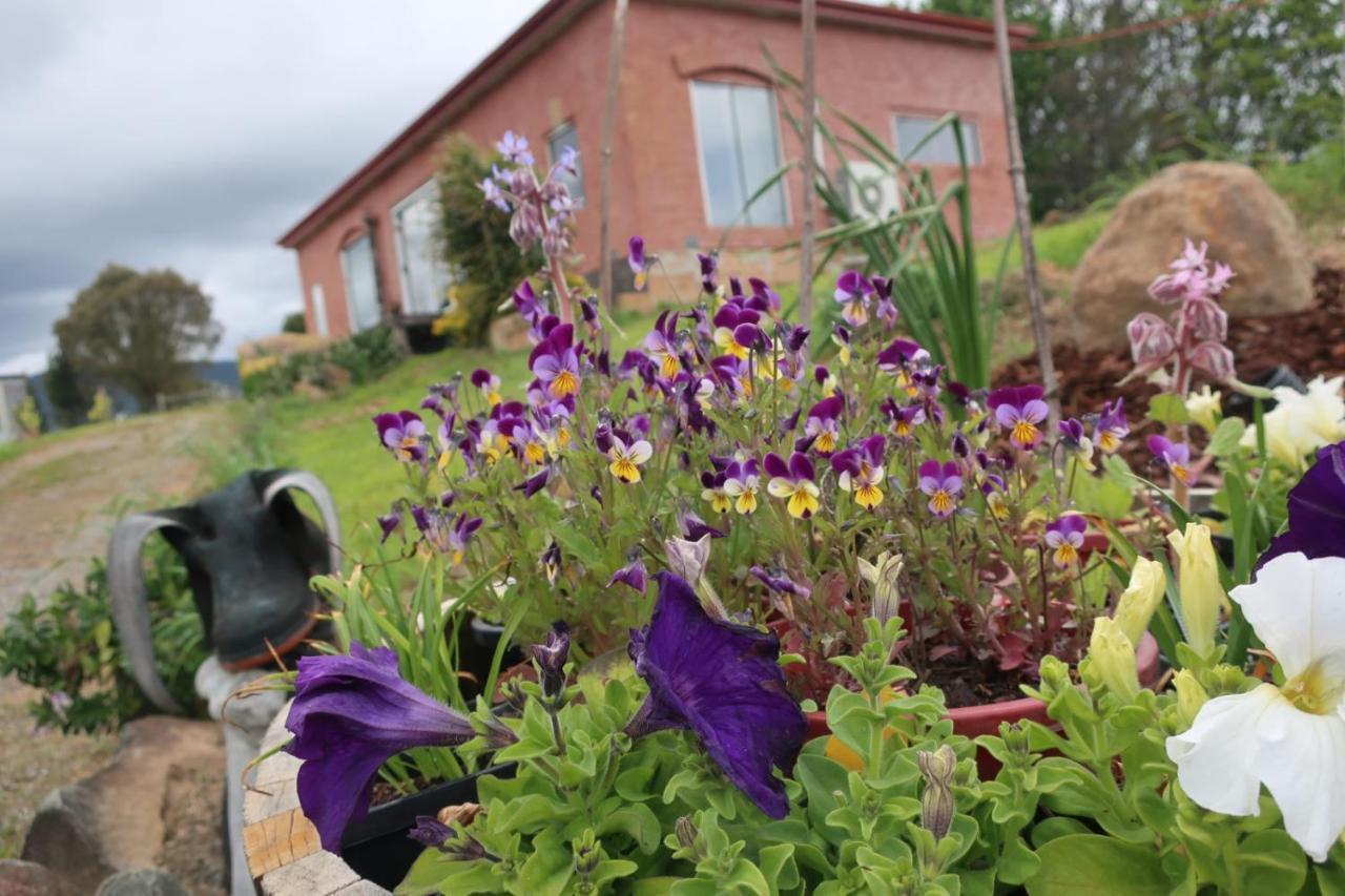Cherry Top Farmstay - Boutique Eco Village Lilydale 외부 사진