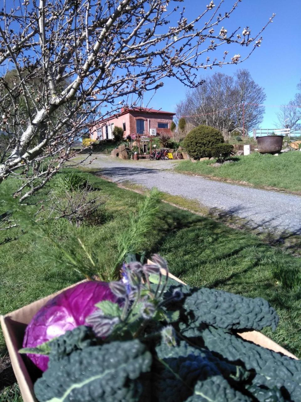 Cherry Top Farmstay - Boutique Eco Village Lilydale 외부 사진