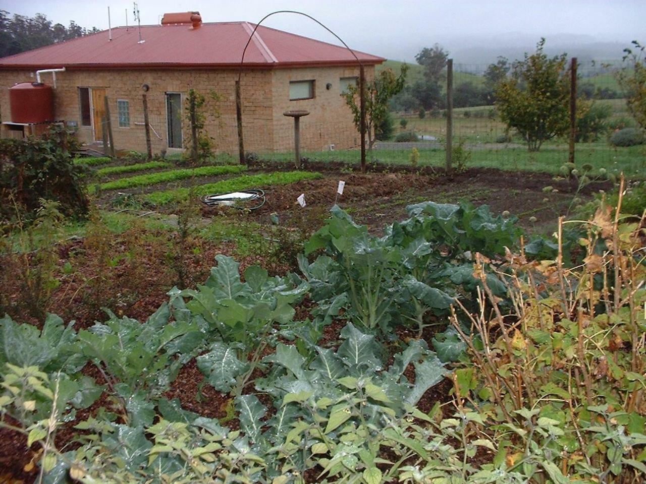 Cherry Top Farmstay - Boutique Eco Village Lilydale 외부 사진