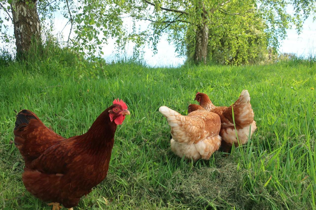Cherry Top Farmstay - Boutique Eco Village Lilydale 외부 사진