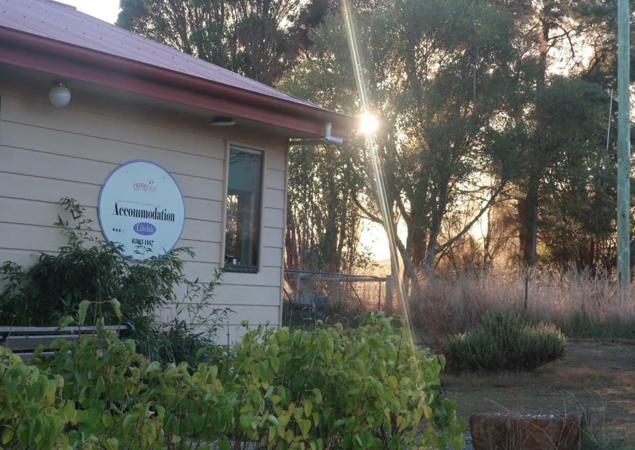 Cherry Top Farmstay - Boutique Eco Village Lilydale 외부 사진